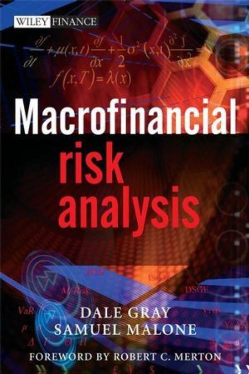 تصویر Macrofinancial Risk Analysis