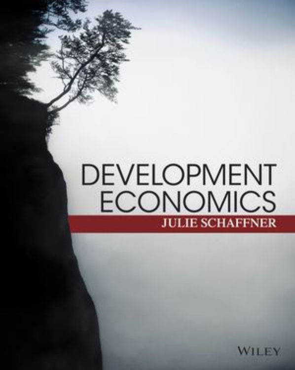 تصویر Development Economics: Theory, Empirical Research, and Policy Analysis
