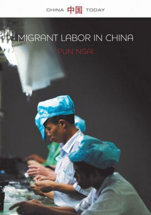 تصویر Migrant Labor in China